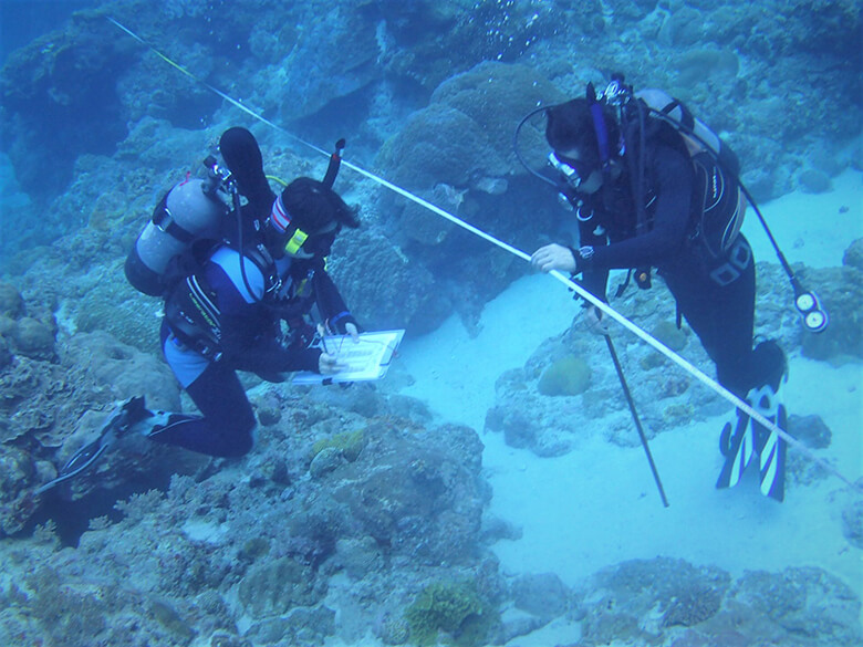 海底にラインを設置し、生き物の状態を記録します。