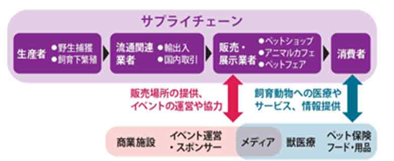 図1 野生動物の流通とペット産業における各業種の役割と関係性